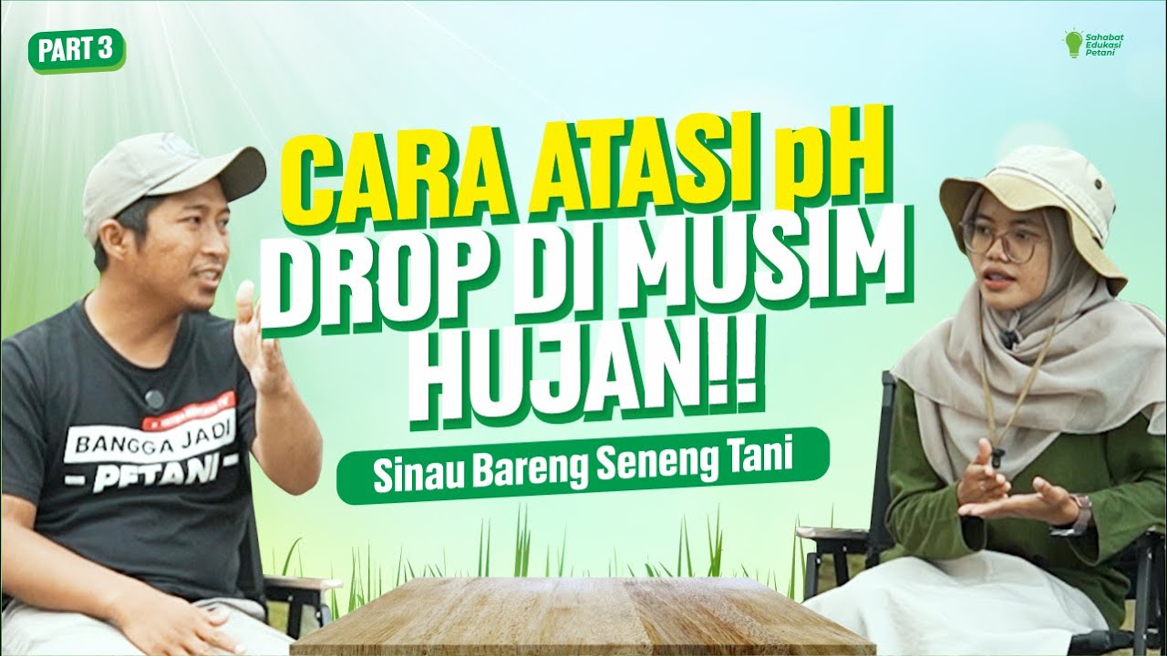 Dolomit atau Kalsium Oksida? Solusi Atasi pH Tanah Drop Di Musim Hujan! | SBST PART 3