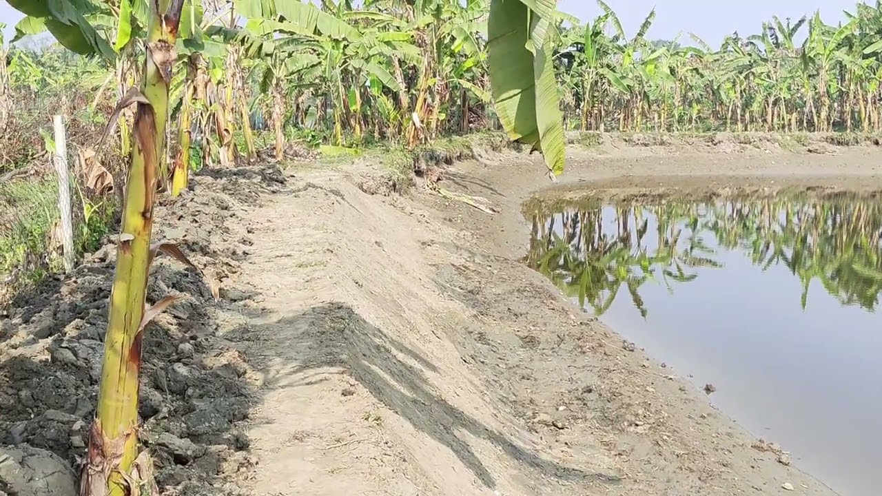 নতুন ১ টি ২৬৪ শতকের পুকুর লিজ নিলাম