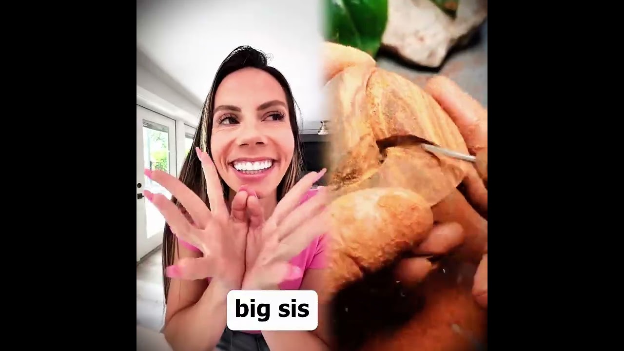 🤣👌👌👌2026 pov Must-Watch Crazy Clips Compilation #humor #fypシ #pov #fyp #foryou #funny 😍😜