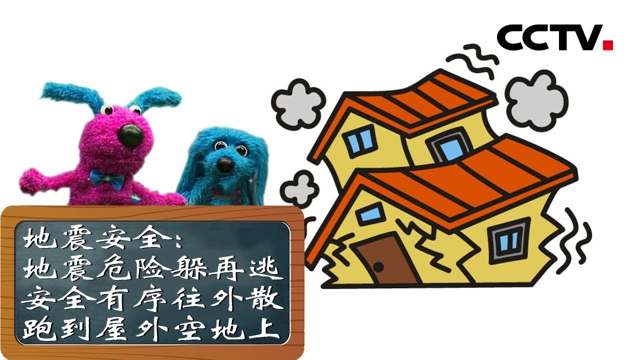 《道哥和摩尔》地震安全：地震危险躲再逃，安全有序往外散，跑到屋外空地上 | CCTV少儿