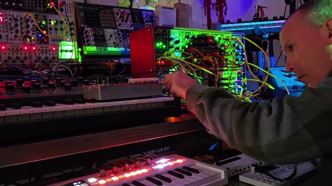 Bonsai for eurorack: December 31, 2025