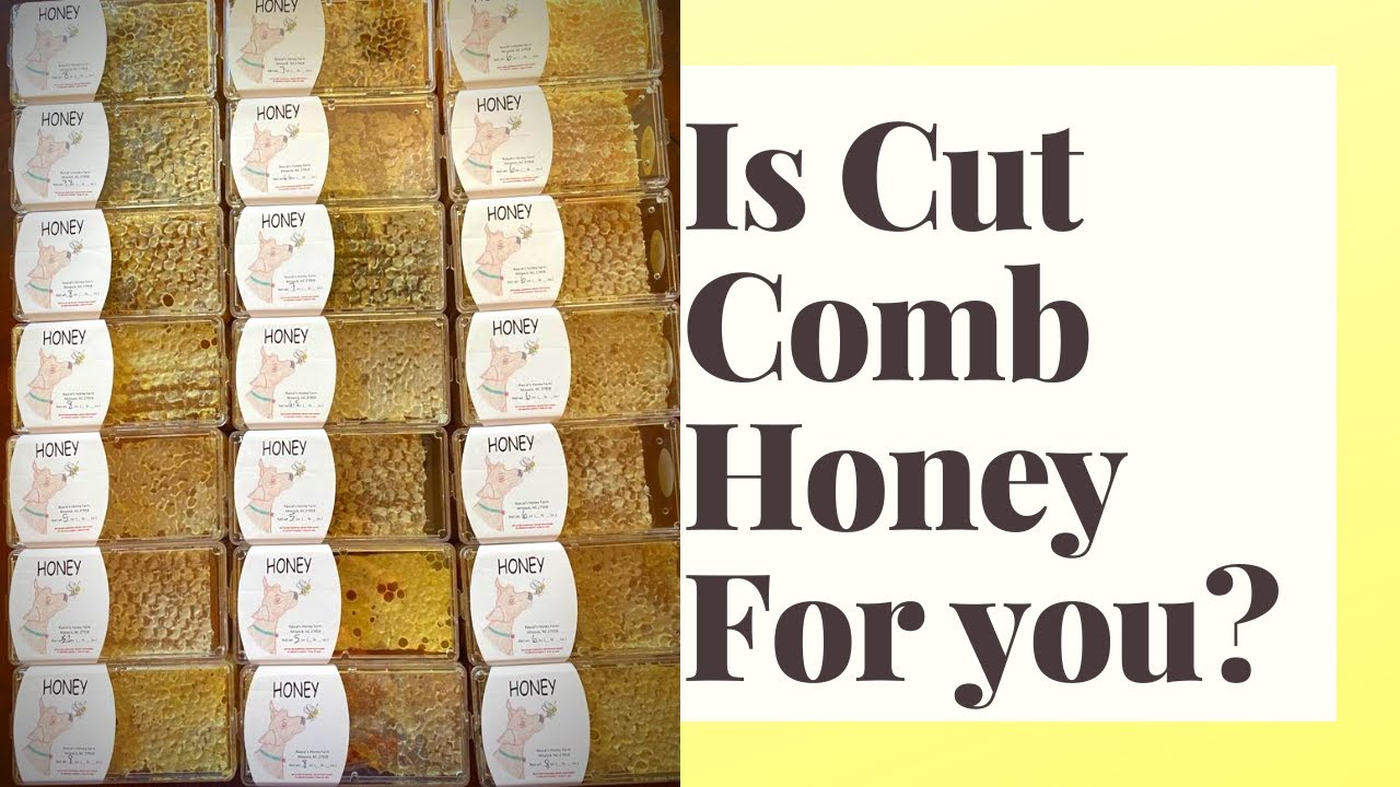 Harvesting Honey: Cut Comb Honey Beginner Beekeeper Episode 29