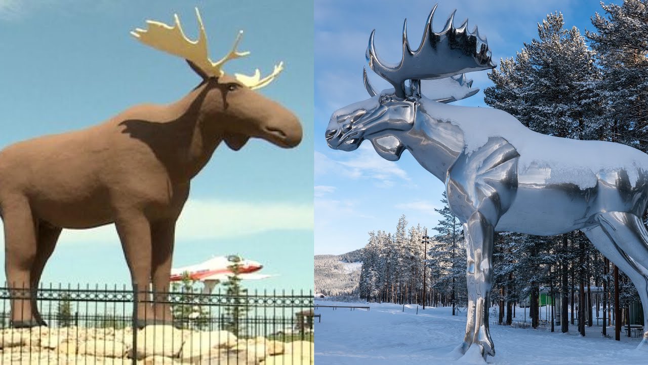Canada mot Stor-Elvdal: Elg-krig