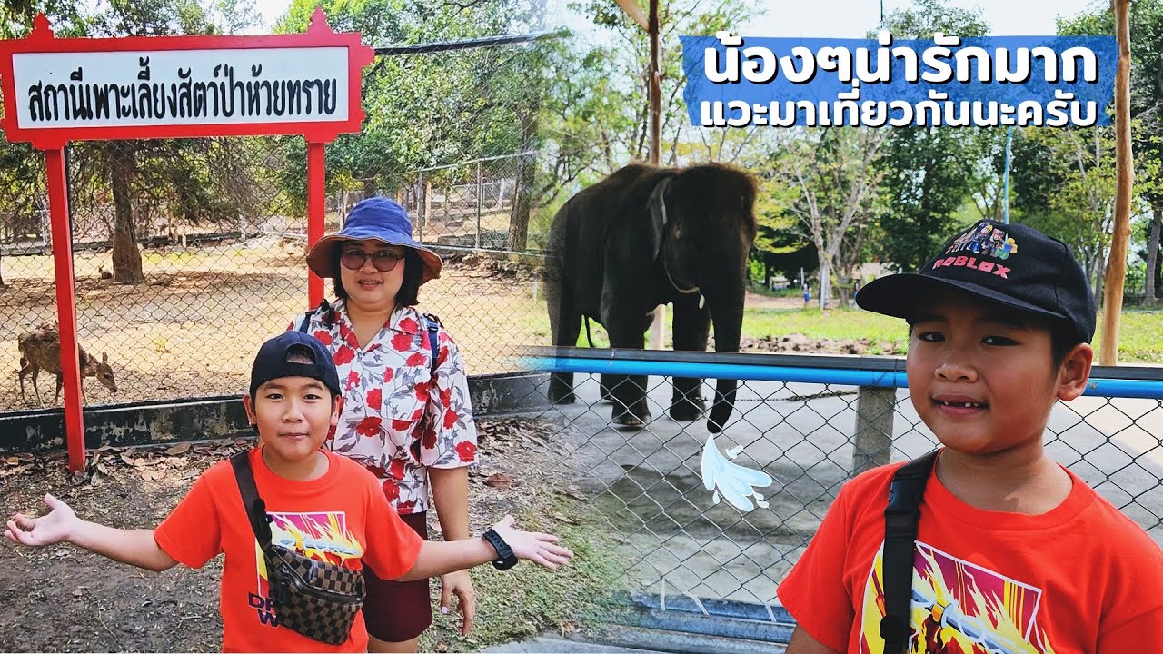 สวนสัตว์ห้วยทราย 🐘🐵🦌🧸 ชะอำ เพชรบุรี  | น้องนดล