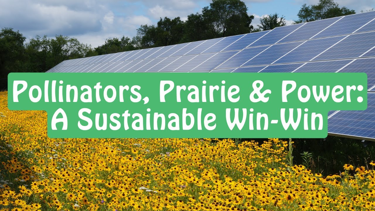 Pollinators, Prairie & Power: A Sustainable Win-Win