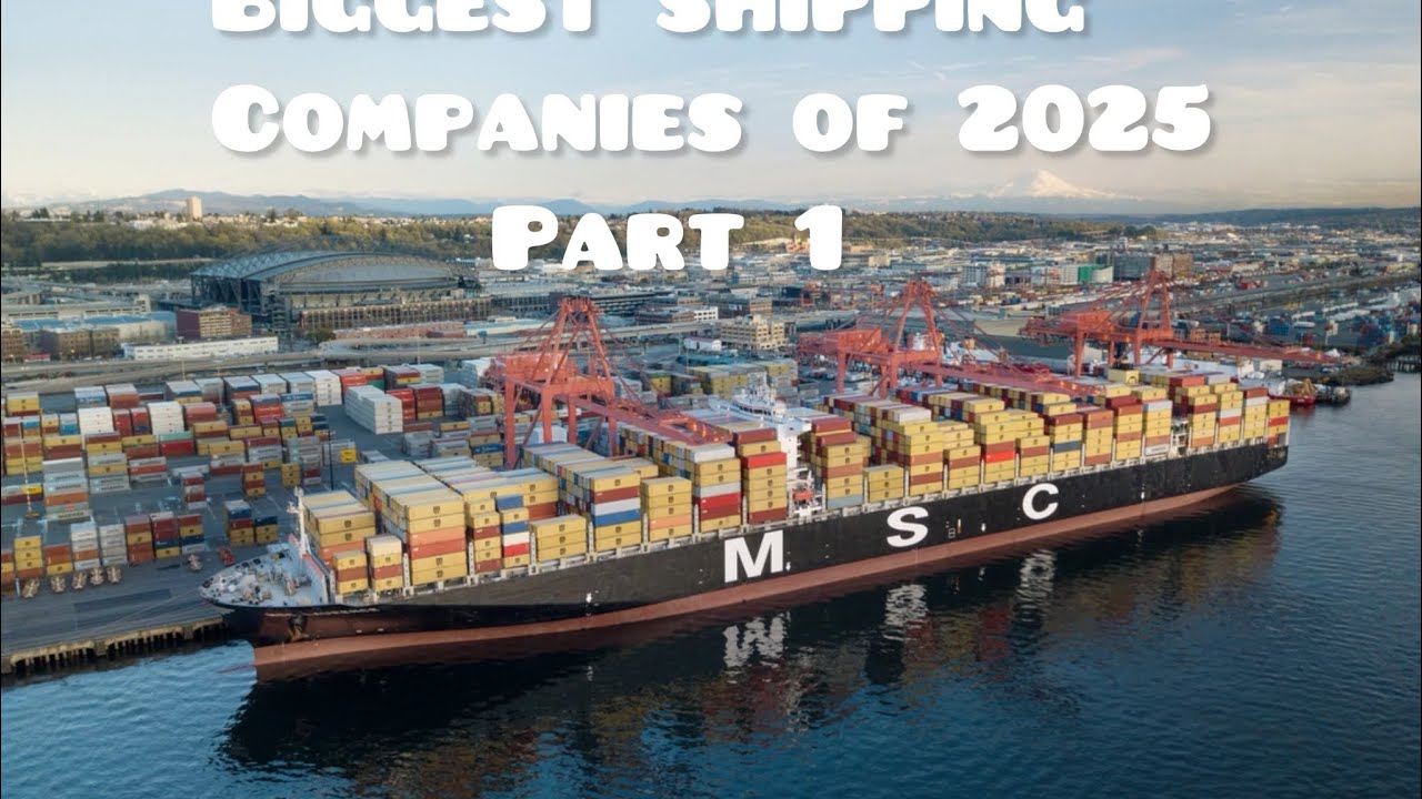Top 10 Biggest Shipping Companies of 2025! Part 1 Mediterranean Shipping Company (MSC)