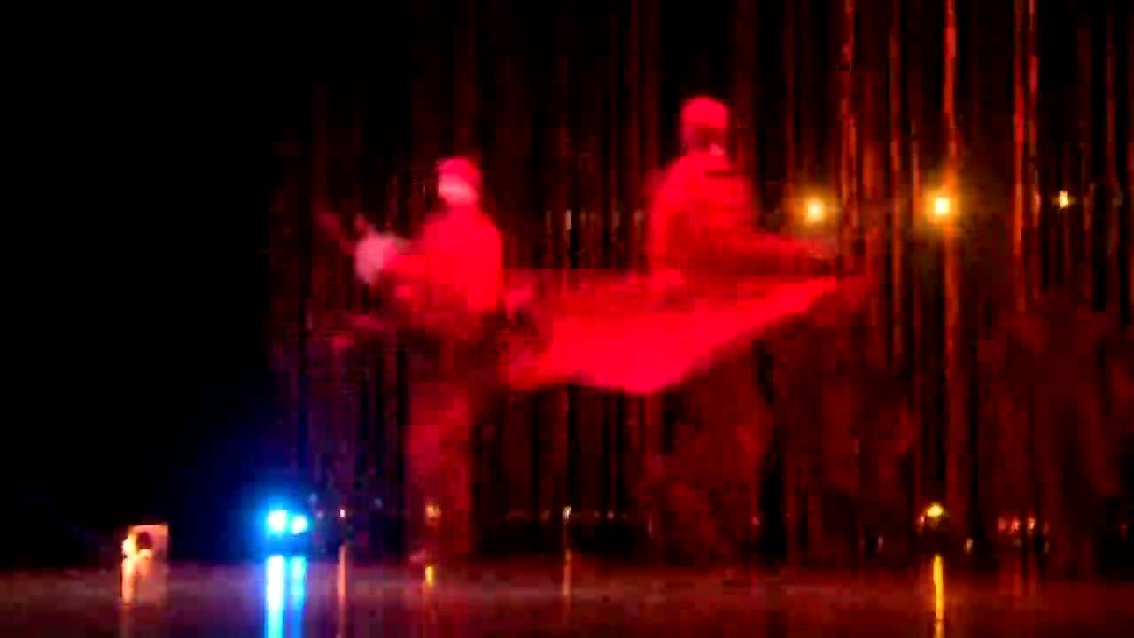 Cirque du Soleil - Varekai