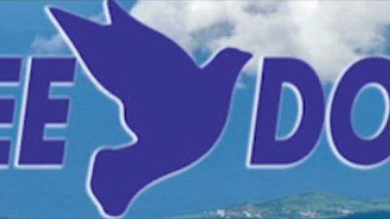 Sonia de retour sur FREE DOM