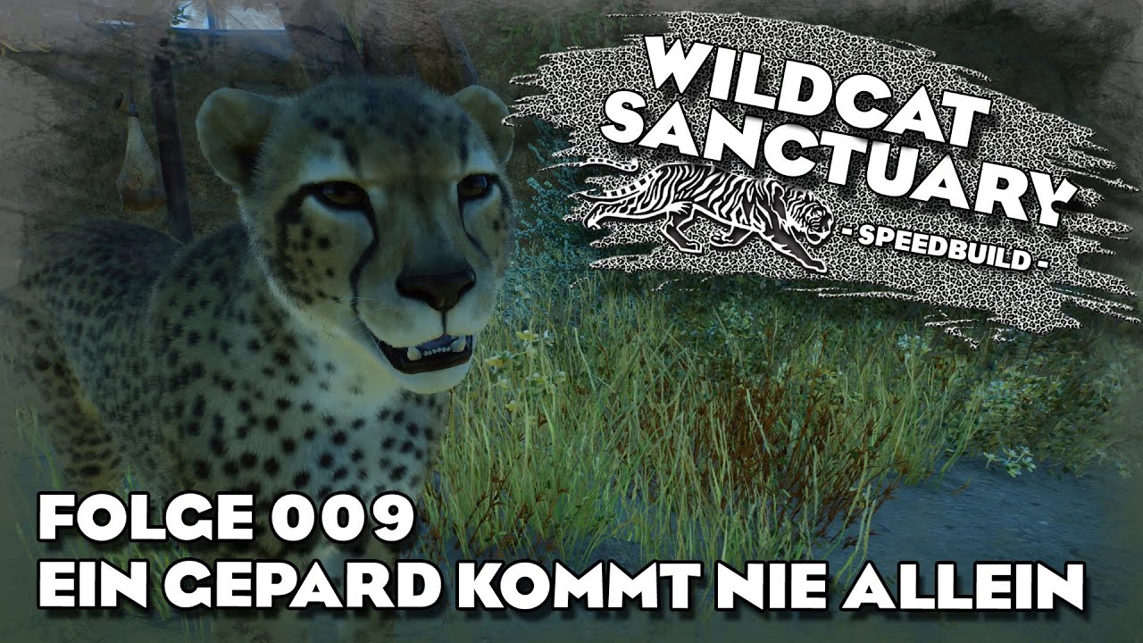 Planet Zoo Speedbuild - 🐯 Wildcat Sanctuary - #009 Ein Gepard kommt nie allein