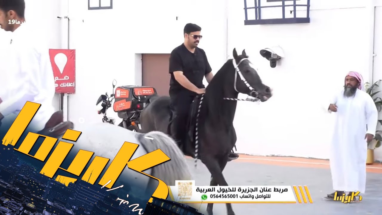 حماس الشباب مع ثقافة ركوب الخيل #كاريزما19