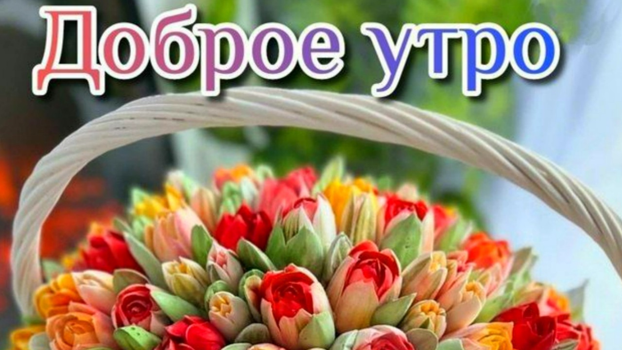 С прекрасным добрым утом! Моим друзьям с любовью!