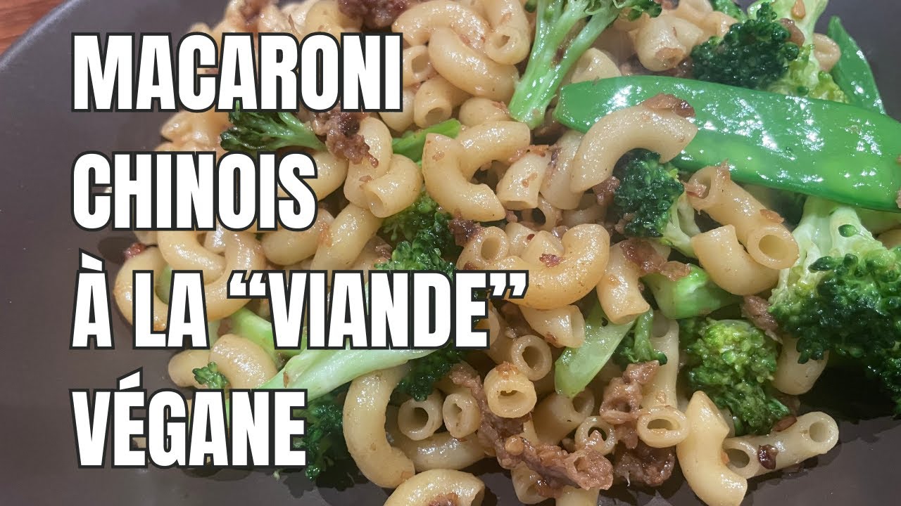 Macaroni Chinois! Souper simple et Facile