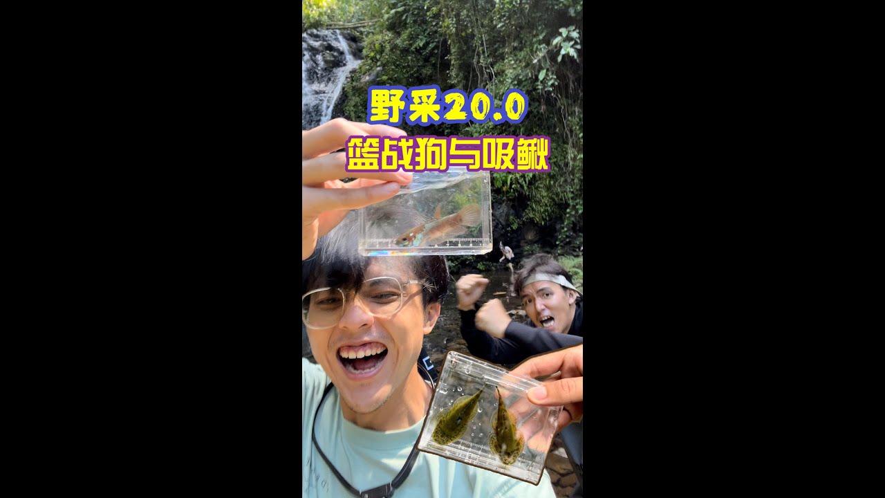 Wild Catch 20.0 美丽的婆罗洲