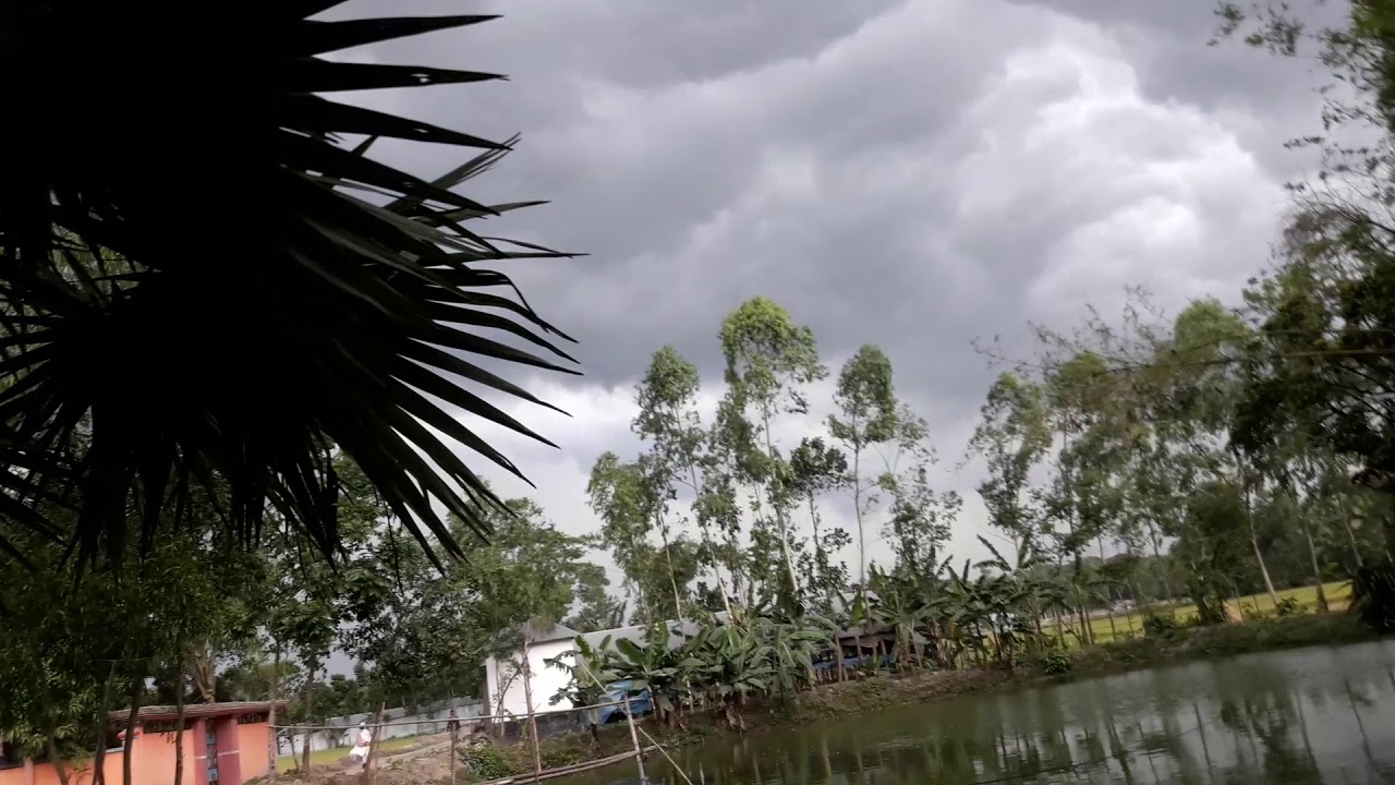 Rvc videos 01952778859