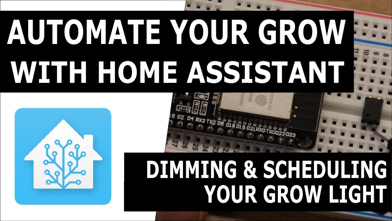Automate Your Grow with Home Assistant #7: Dimming & Scheduling Your Grow Light