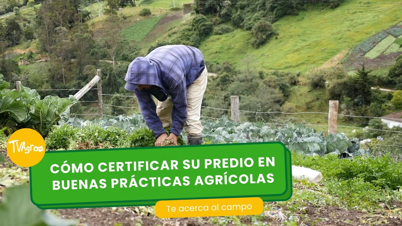 Cómo certificar su predio en buenas prácticas agrícolas- TvAgro por Juan Gonzalo Angel Restrepo