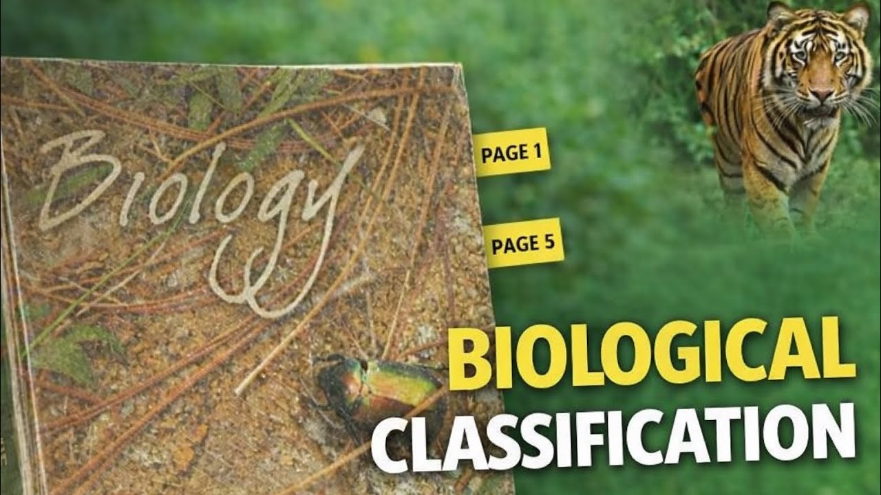 Chapter 2 Biological classification topic kingdom fungi NCERT line by line explanation 