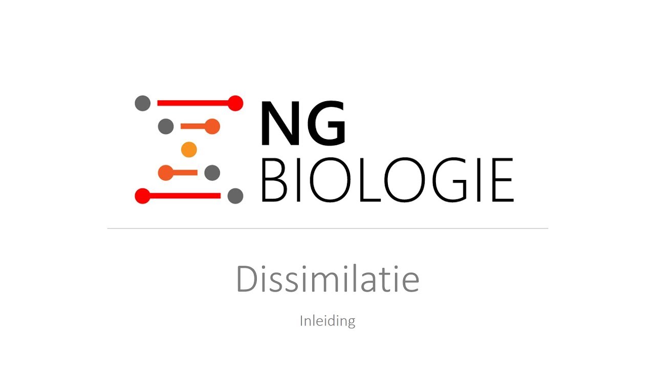 Dissimilatie - inleiding - HAVO/VWO