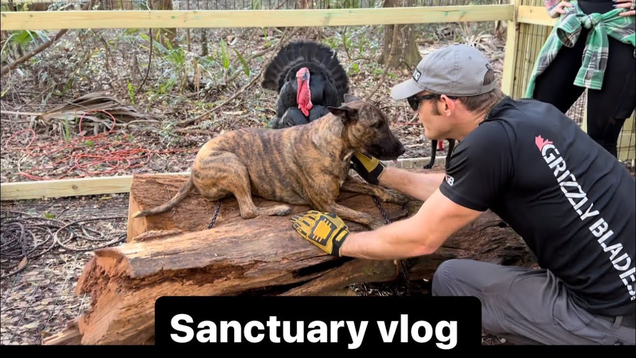 Sanctuary vlog 2-25-24 PT2