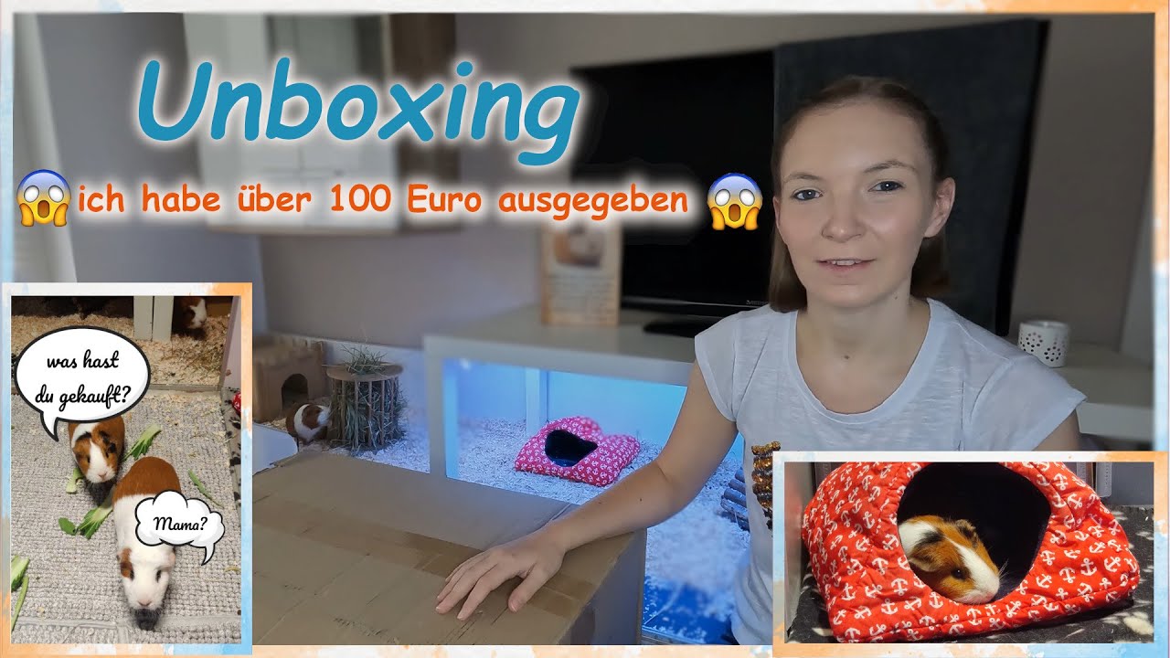 Ich habe über 100€ für meine Schweinchen ausgegeben 😱 Was habe ich gekauft? Unboxing mit euch 🤗