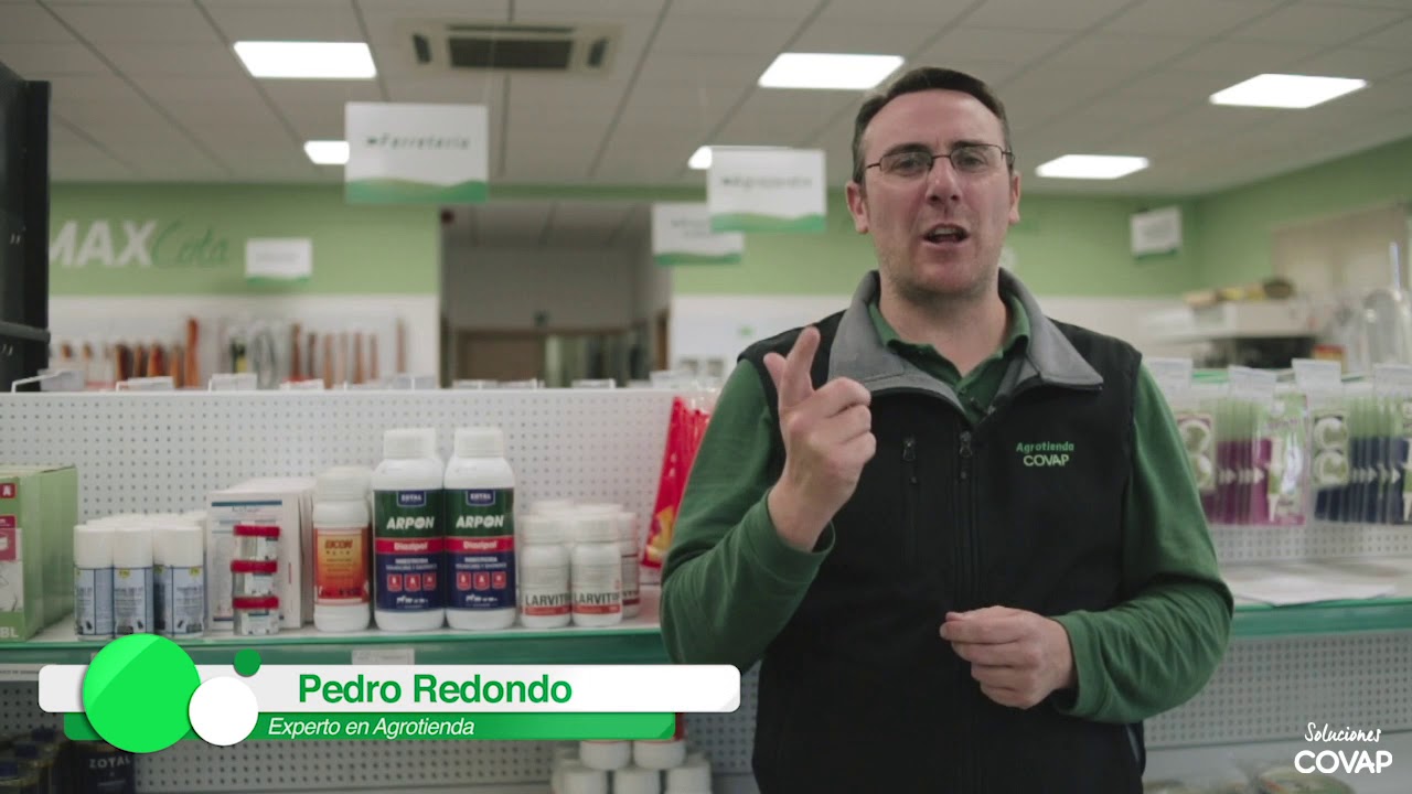 Soluciones COVAP |  Control de Pulgas en las instalaciones ganaderas