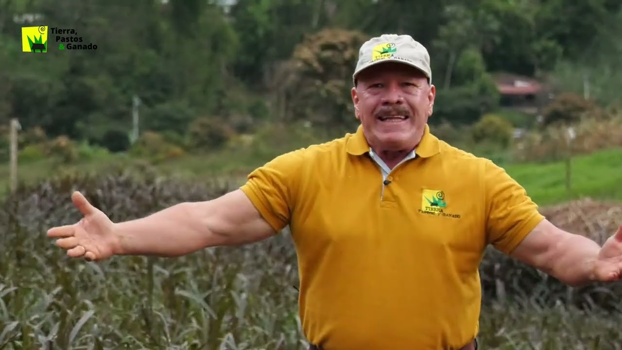 &iquest;Por qu&eacute; establecer una hect&aacute;rea en pasto de corte?