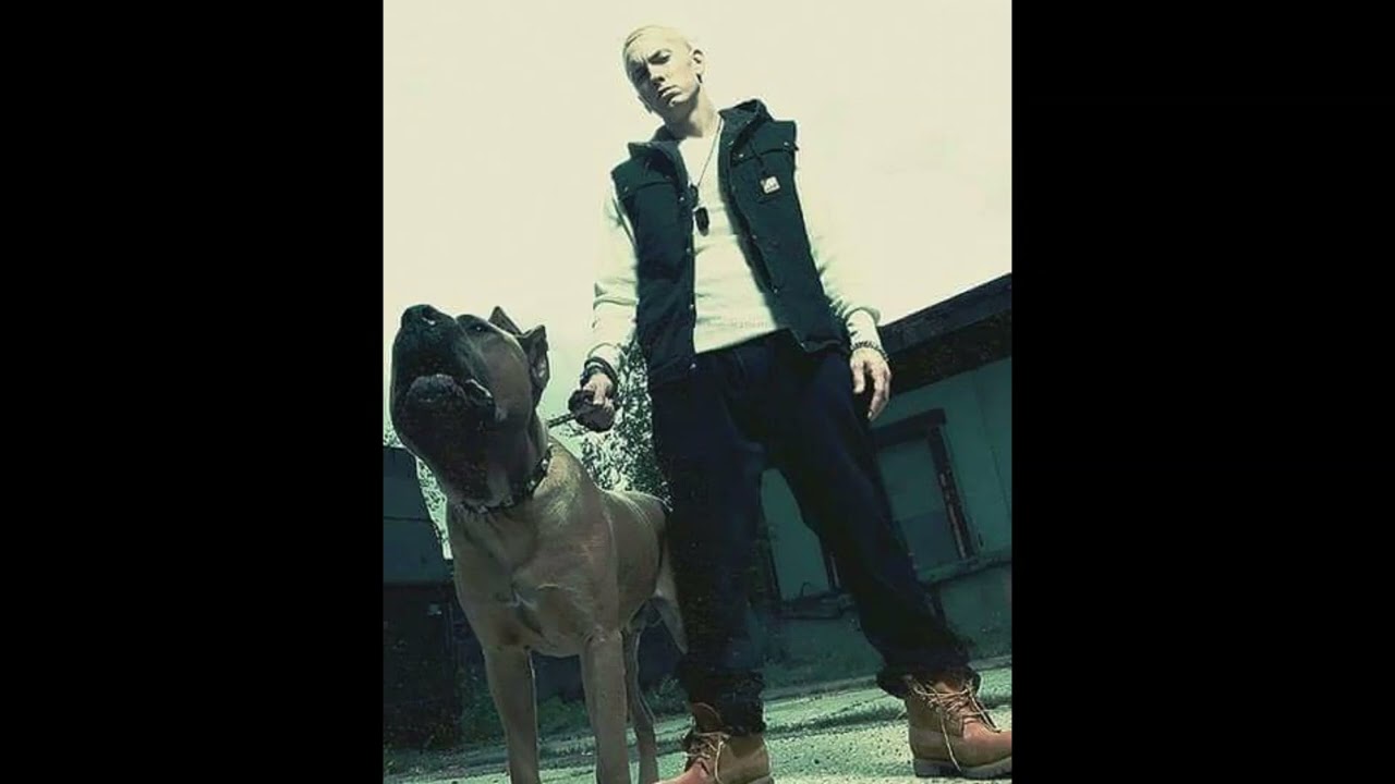 (FREE) Eminem x Boom Bap Type Beat 