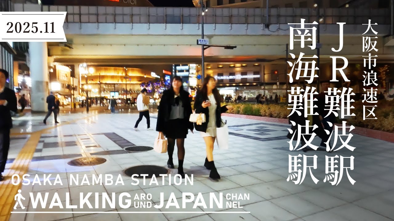 【4K/大阪散歩】大阪市浪速区JR難波駅～南海難波駅を街歩き Walking around JR Namba to Nankai Namba,Osaka,Japan,2025