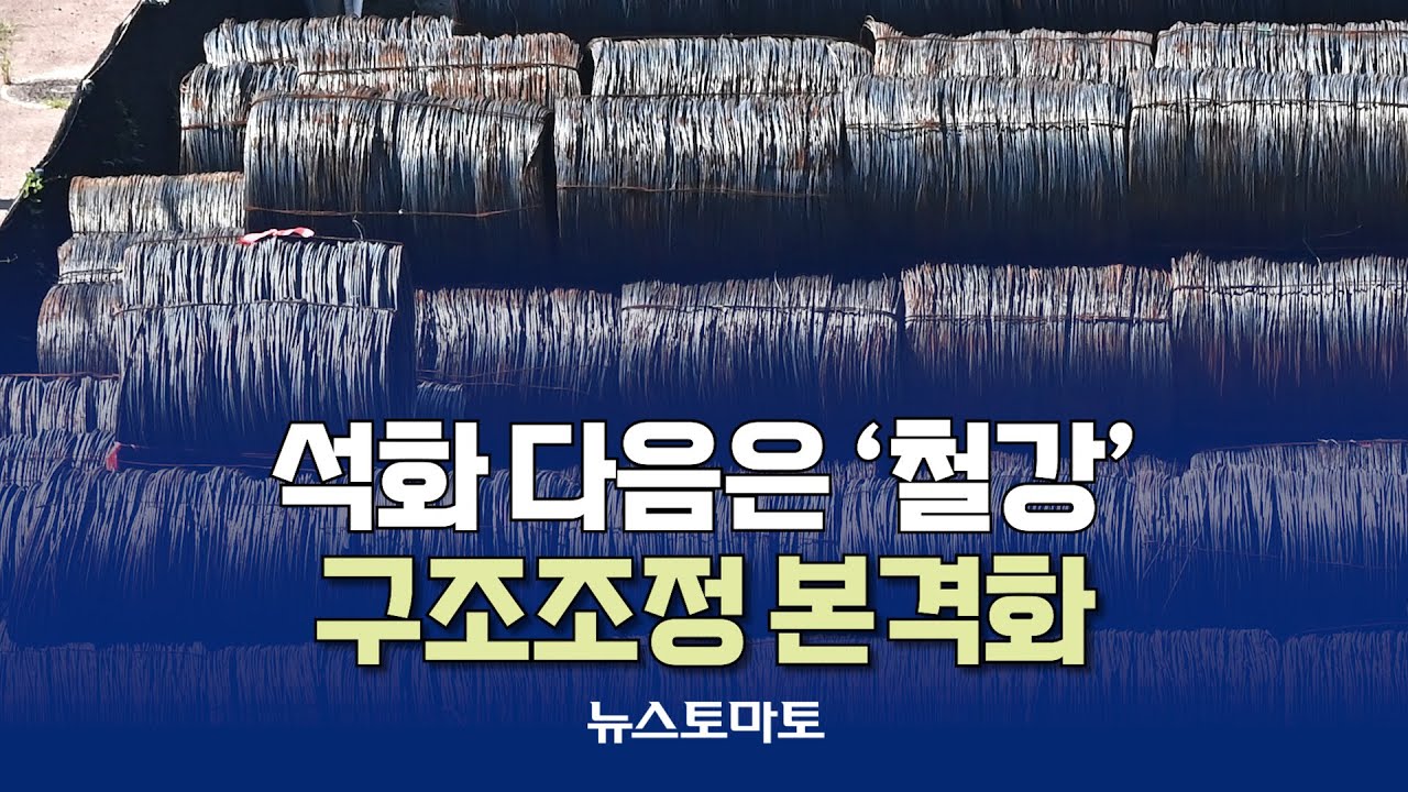 석화 다음은 &lsquo;철강&rsquo;&hellip;구조조정 본격화 [말하는 기자들_산업_0902]