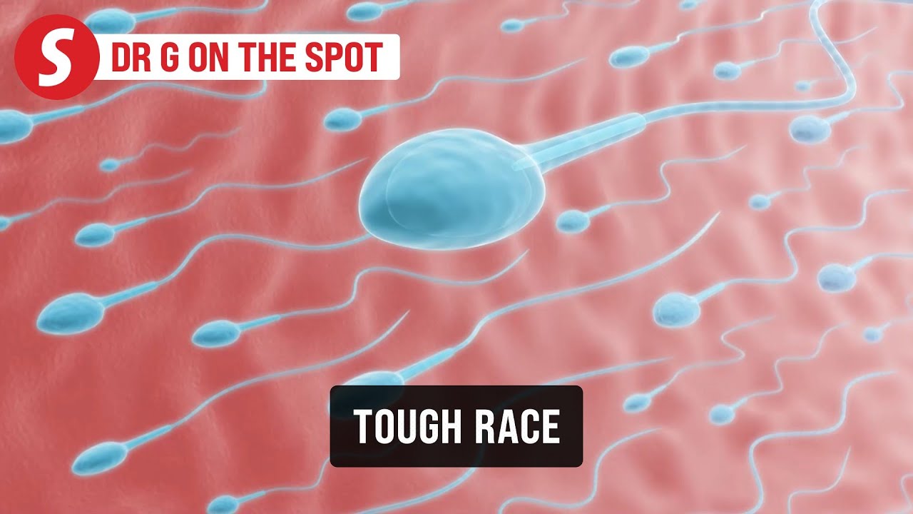 EP310: Racing against time to sprint forward | PUTTING DR G ON THE SPOT