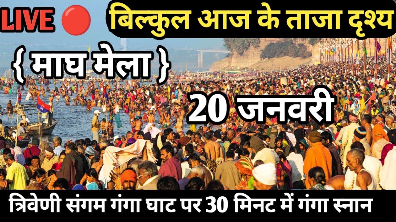 Prayagraj Magh Mela 2026| 19 जनवरी गंगा स्नान |Magh Mela | बिल्कुल आज की ताजा दृश्य | Prayagraj live