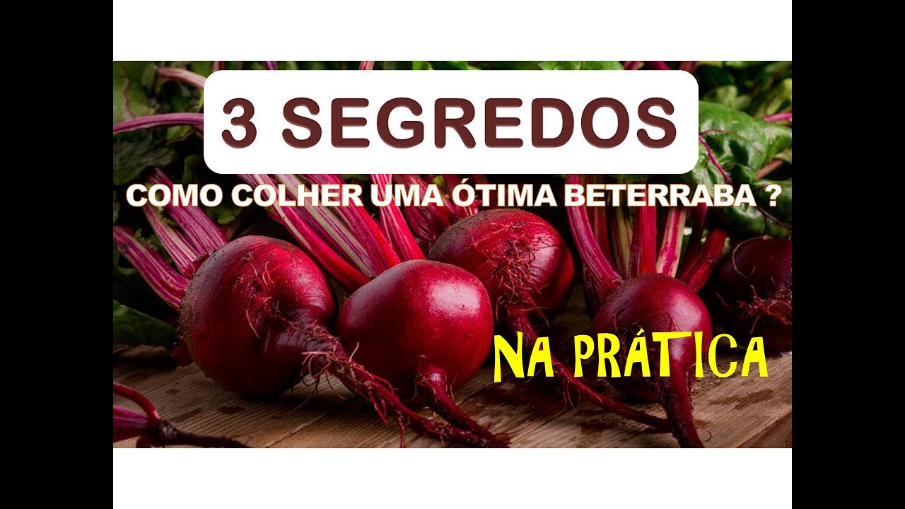COMO PLANTAR BETERRABA - Tenha Lindas Beterrabas na sua HORTA