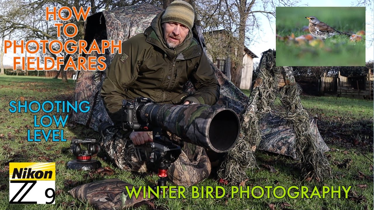 How To Photograph Birds in Winter (Detailed Guide and Fieldfare Session)