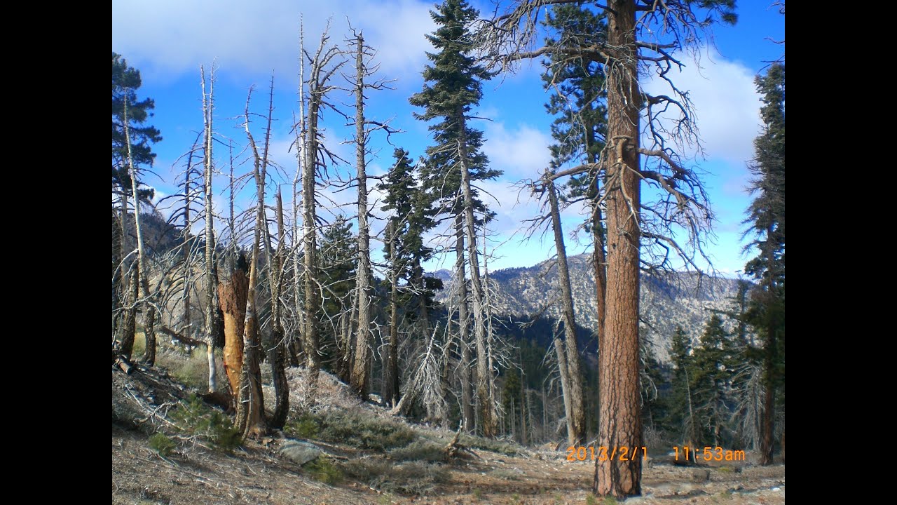 Crystal Lake to Heaton Flats