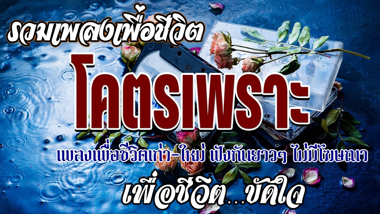 รวมเพลงสตริงยุค 90 เพราะสุด ๆ ฟังยาวต่อเนื่อง เพลงดังในความทรงจำ ฟังเพลืนๆๆๆ เพลงใหม่ๆๆๆเพราะๆๆ