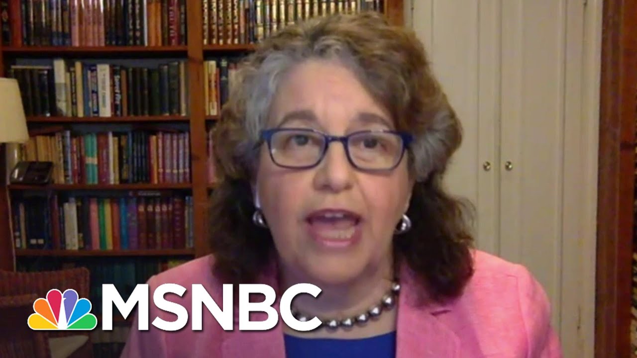 FEC Commissioner On Election Planning: ‘Our Democracy Has To Survive This Crisis’ | MSNBC