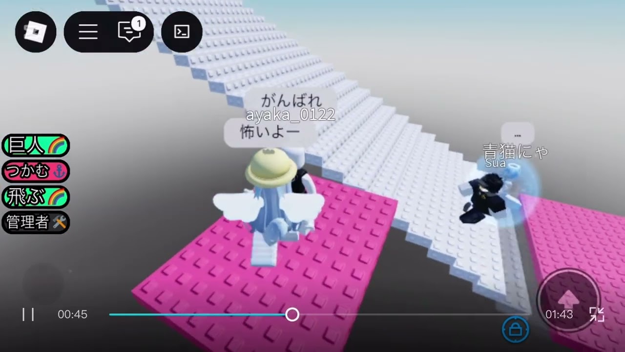 パンチボタンタワーの都市伝説試してみた結果が…[ロブロックス]