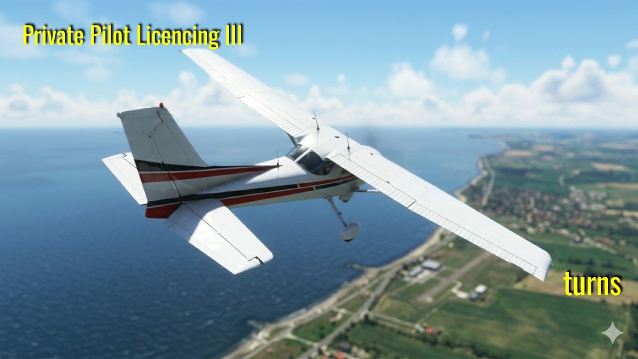 Virtual PPL licensing | Turns | MSFS