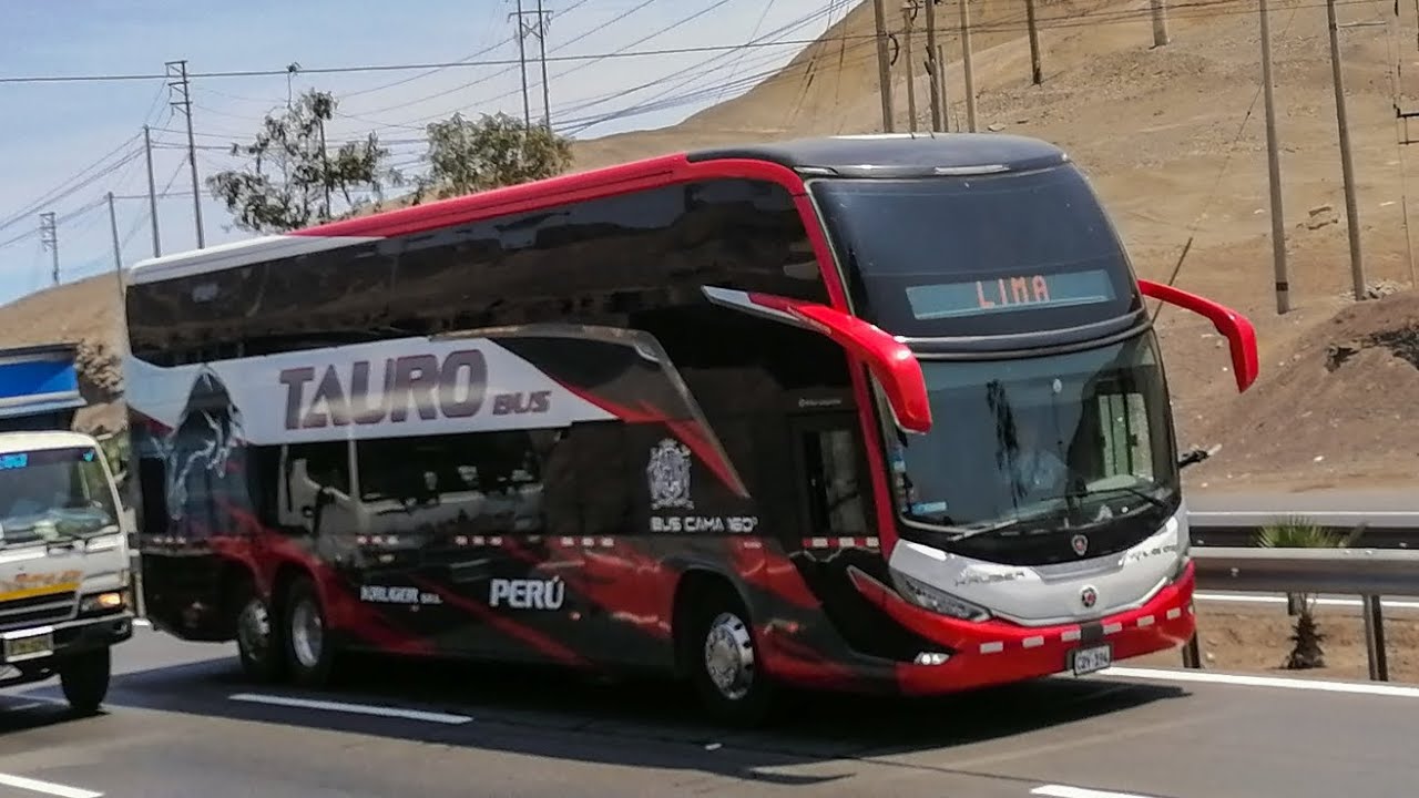 Buses Sureños Del Perú 2023.
