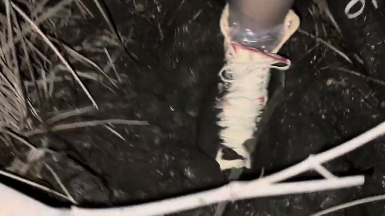 sneaker mud(converse  sneakerboots)