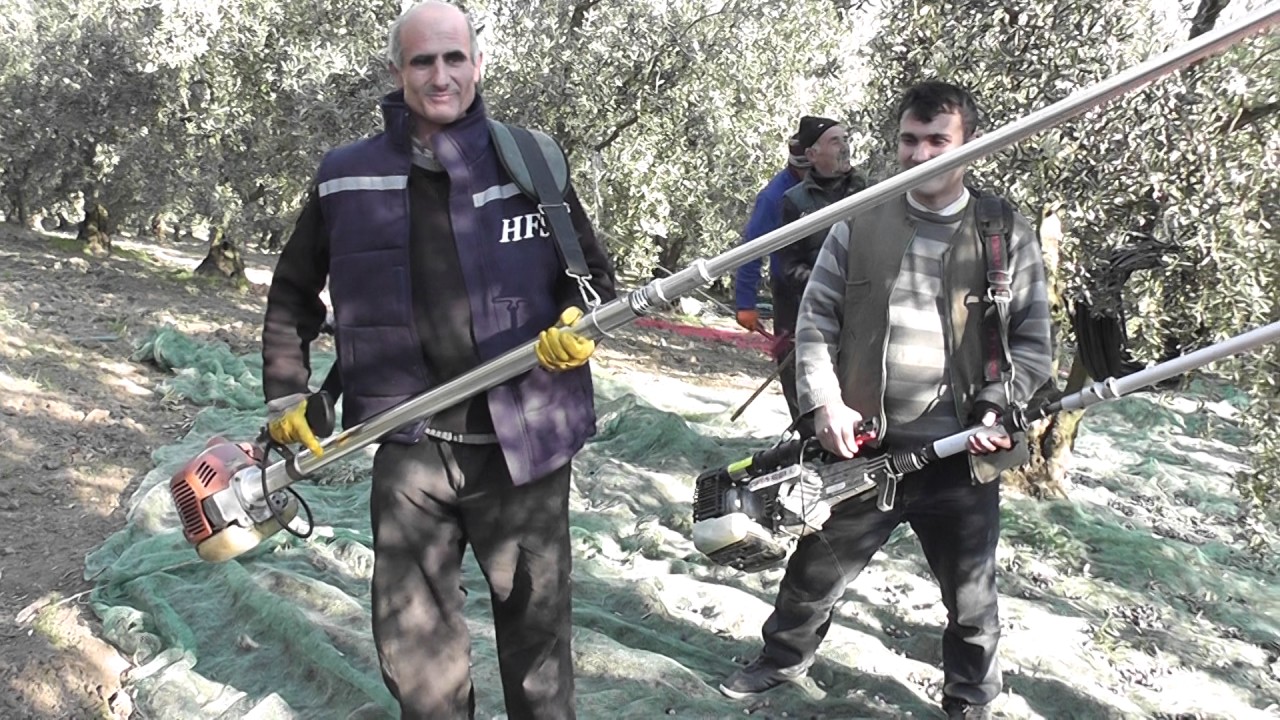 HFS Yandan Kullanımlı Zeytin Silkme, Hasat Makinası