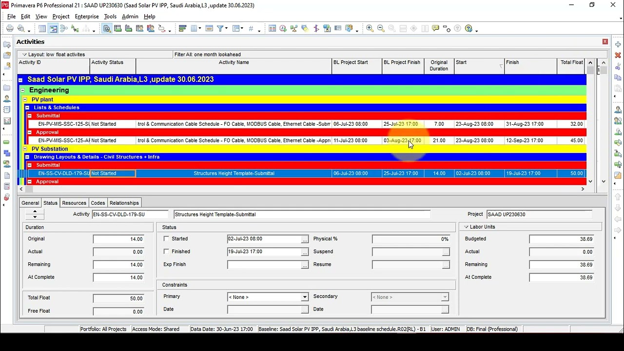 one month lookahead in primavera P6