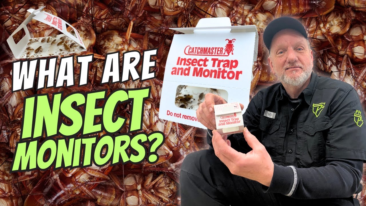 These Are Amazing! Insect Monitors Explained