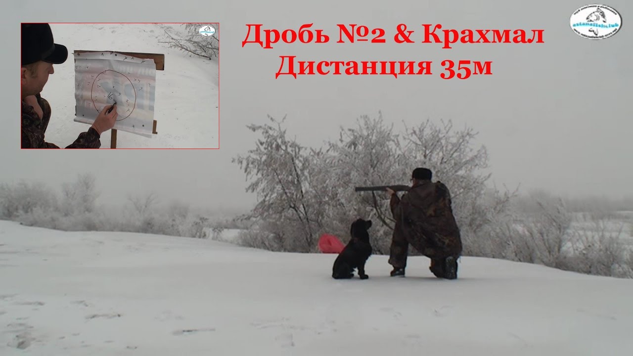 Тест кучности дроби & крахмал