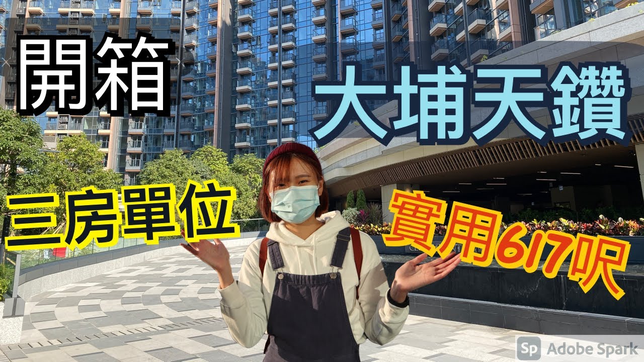 🇭🇰大埔天鑽三房單位睇樓團｜入屋第一個反應係？｜比預期有落差？｜