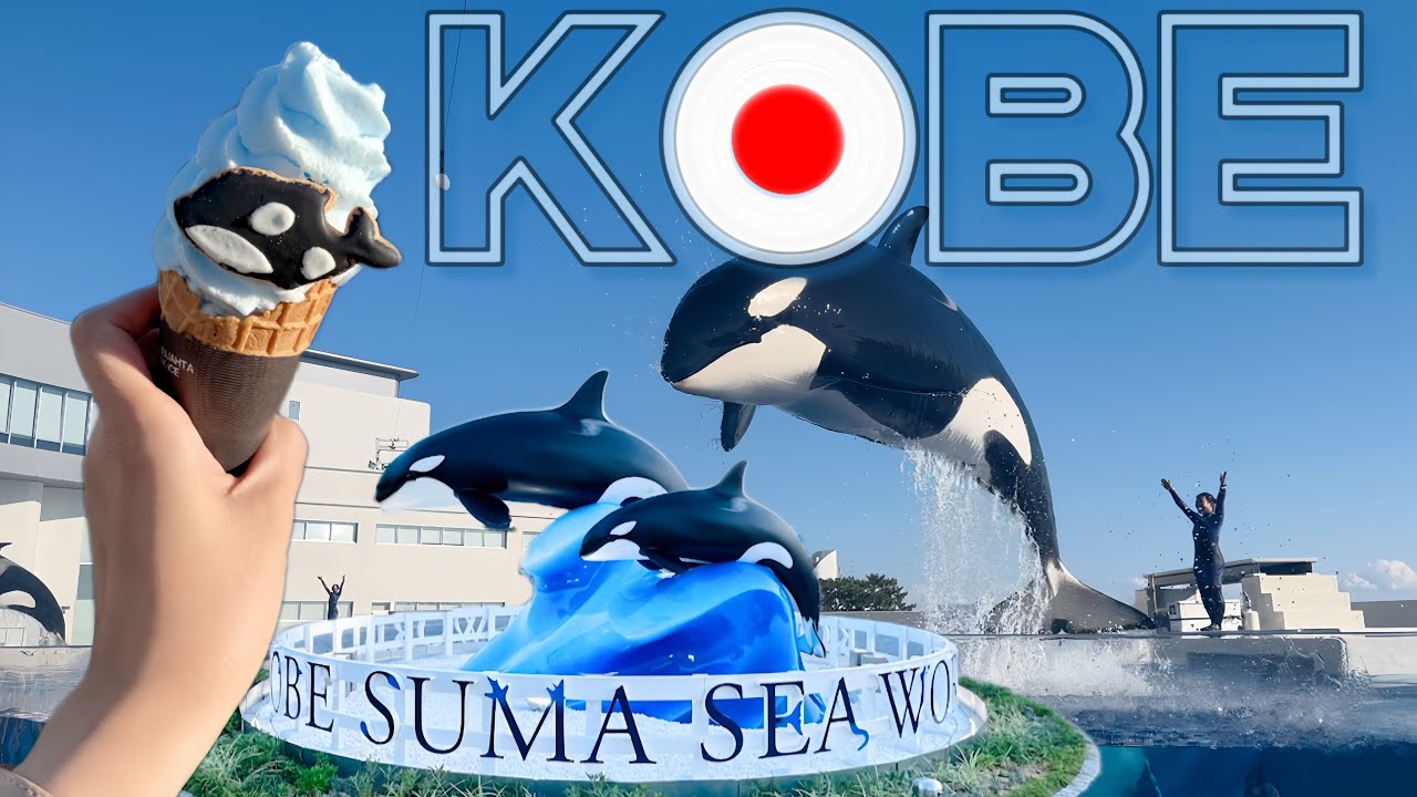 Kobe Suma Sea World | Шоу с косатками и дельфинами | Входной билет | Бывший парк Aqualife