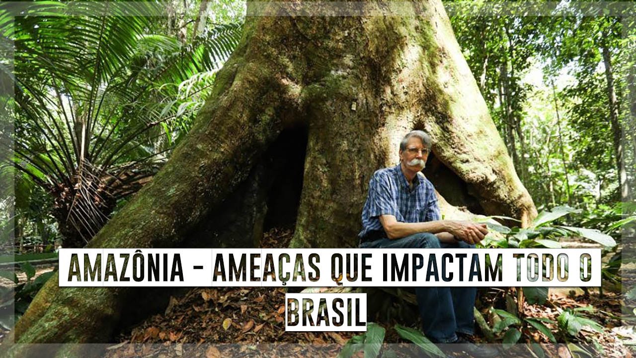 Philip Fearnside: as ameaças à Amazônia que impactam todo o Brasil