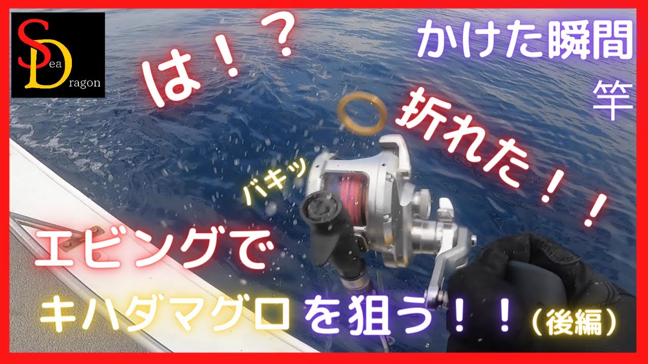 竿折れる瞬間！！　三重県　紀伊長島でエビングでキハダマグを狙う！！後編