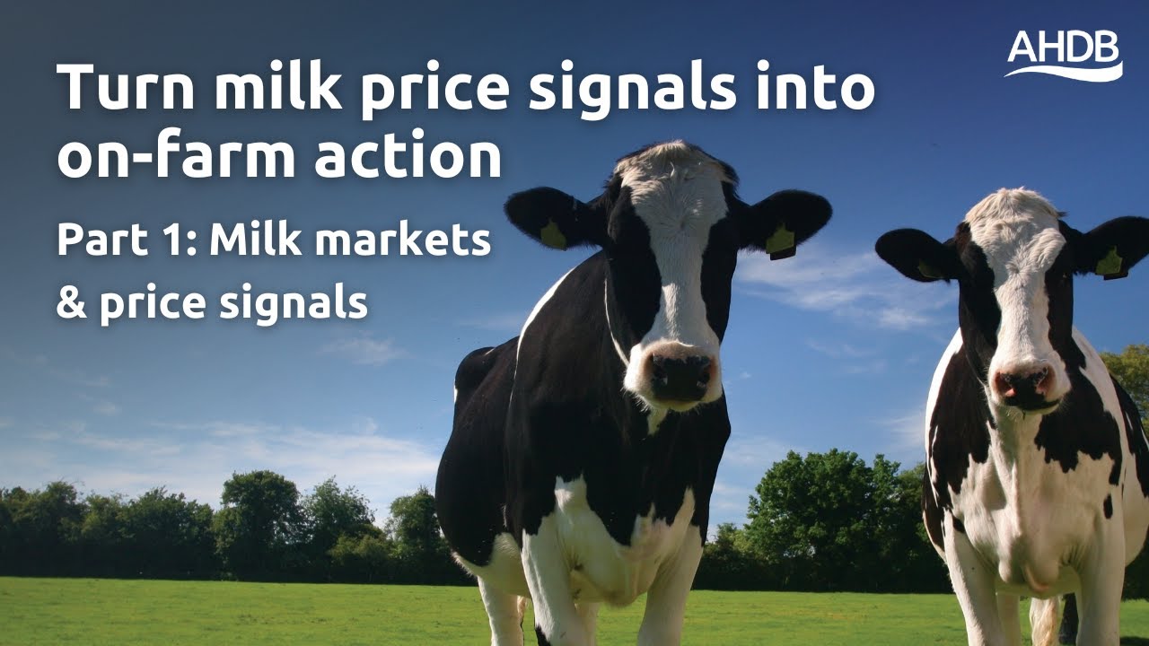Turning milk price signals into on farm action part 1: Milk markets and price signals | AHDB Webinar