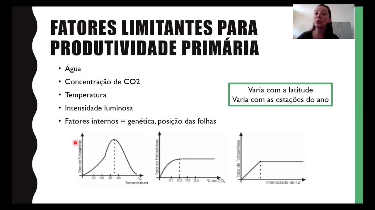 Produtividade Primária e Secundária do ecossistema